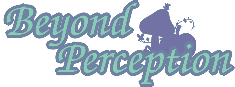 Beyond Perception Shop